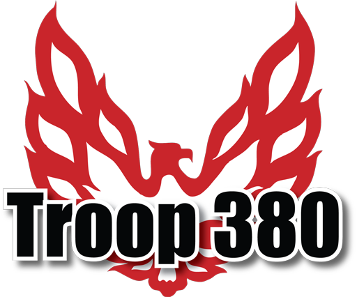 Troop 380