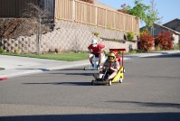 RdO Box Car Derby 0066