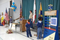 Bridging Pack 281 0001