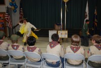 Bridging Pack 281 0002