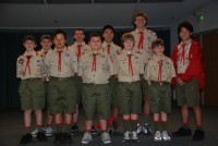 Bridging Pack 281 0030