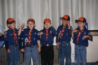 Bridging Pack 380 0004