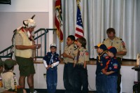 Bridging Pack 380 0011