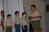 Bridging Pack 380 0017