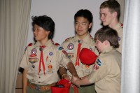 Bridging Pack 380 0019