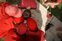 Camporee - Gibson Ranch 0023