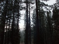 Grover Hot Springs Camp Out 0022