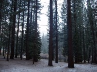 Grover Hot Springs Camp Out 0023