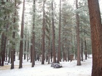 Grover Hot Springs Camp Out 0028