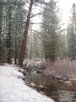 Grover Hot Springs Camp Out 0029