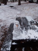 Grover Hot Springs Camp Out 0031