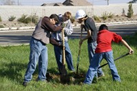 Matt G. Eagle Project 0010