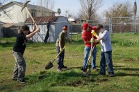 Matt G. Eagle Project 0012