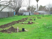 Matt G. Eagle Project 0016