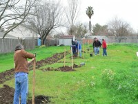 Matt G. Eagle Project 0019