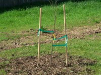 Matt G. Eagle Project 0031