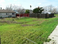 Matt G. Eagle Project 0032