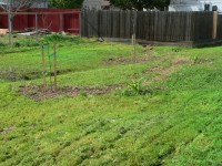 Matt G. Eagle Project 0033