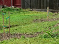 Matt G. Eagle Project 0034