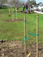 Matt G. Eagle Project 0037