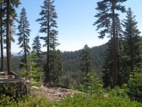 Mini Trek - Mt. Lola 0031