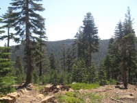 Mini Trek - Mt. Lola 0034