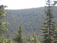 Mini Trek - Mt. Lola 0039