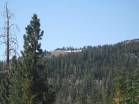 Mini Trek - Mt. Lola 0040