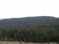 Mini Trek - Mt. Lola 0050