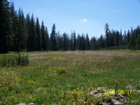 Mini Trek - Mt. Lola 0136