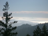 Mt. Tamalpais 0010