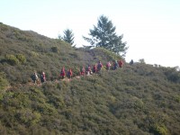 Mt. Tamalpais 0013