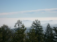 Mt. Tamalpais 0016