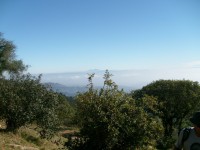 Mt. Tamalpais 0017