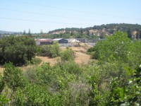 Natomas Camp Out 0048