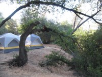 Natomas Camp Out 0067