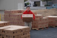 Popcorn Distribution 0003