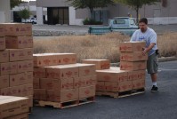 Popcorn Distribution 0006