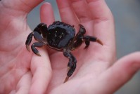 Salt Point Camp Out 0026