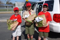 Scouting for Food 0008