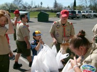 Scouting for Food 0022