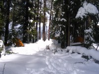Snow Camp Out 0008