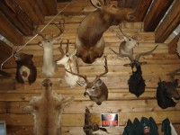 Summer Camp-Chawanakee 0026