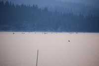 Summer Camp-Chawanakee 0323