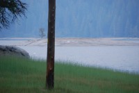 Summer Camp-Chawanakee 0366