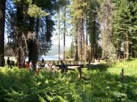 Summer Camp-Chawanakee 0430