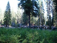 Summer Camp-Chawanakee 0538