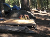 Summer Camp-Winton 0045