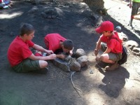 Summer Camp-Winton 0184