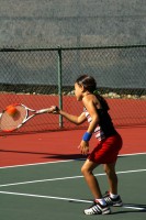 Ted B. Eagle Project 0042